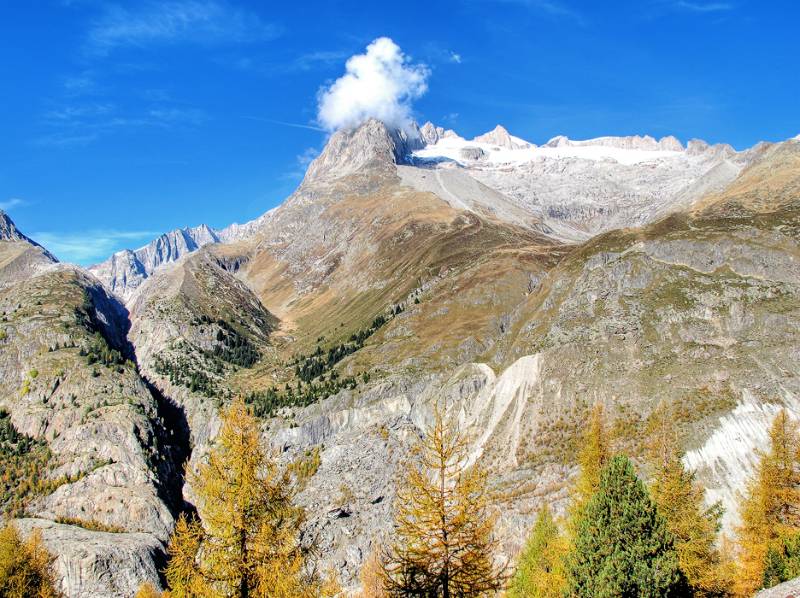 Beeindruckend schmale Schlucht am Ende des Oberaletschgletschers, dann Fusshörner und Schaf-Weide