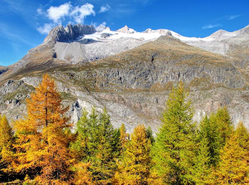 Fusshörner, Geisshorn und Inners Aletschi mit Herbst-Farben geschmückt