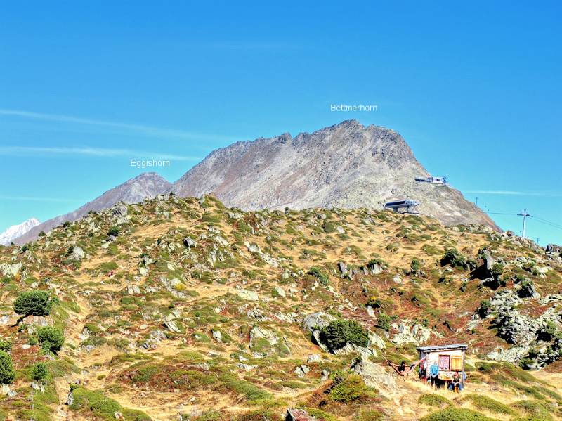 Eggishorn und Bettmerhorn