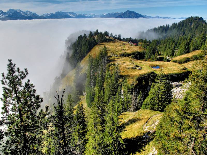 Auf der Nebel-Insel ist Oberbärgli und in der Weite ragt Niesen