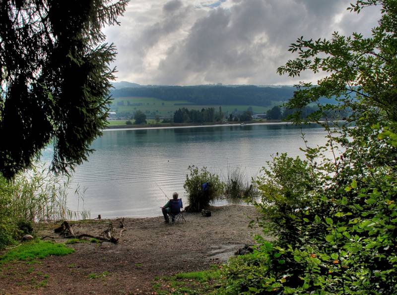 Image Wanderung Hallwilersee