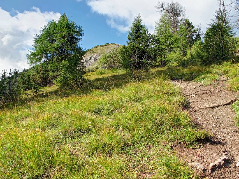 Bald oberhalb der Waldgrenze