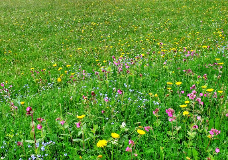 150517-Wanderung-Faehnenspitz_4991_2_3