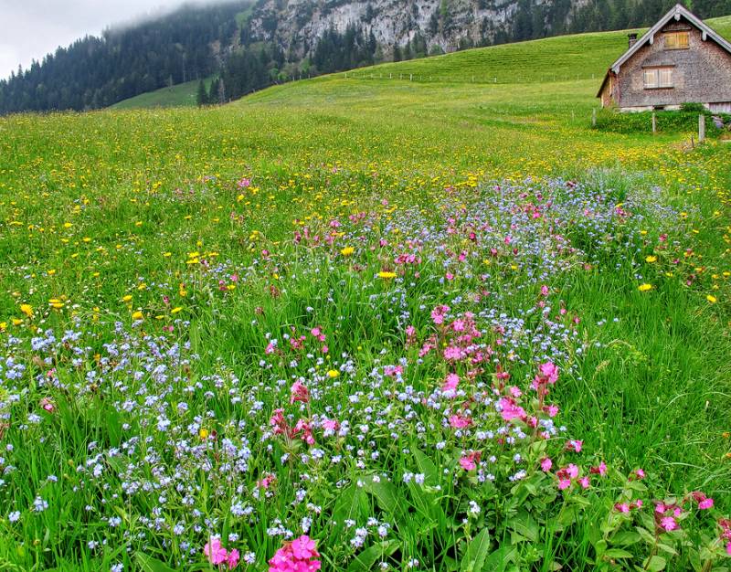 150517-Wanderung-Faehnenspitz_4994_5_6