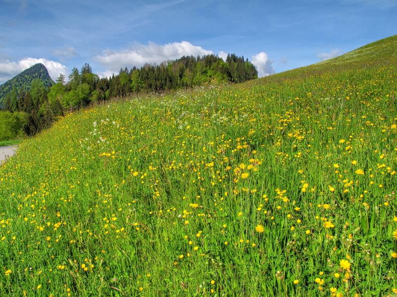 150510-Wanderung-Fadearastein_4934_5_6