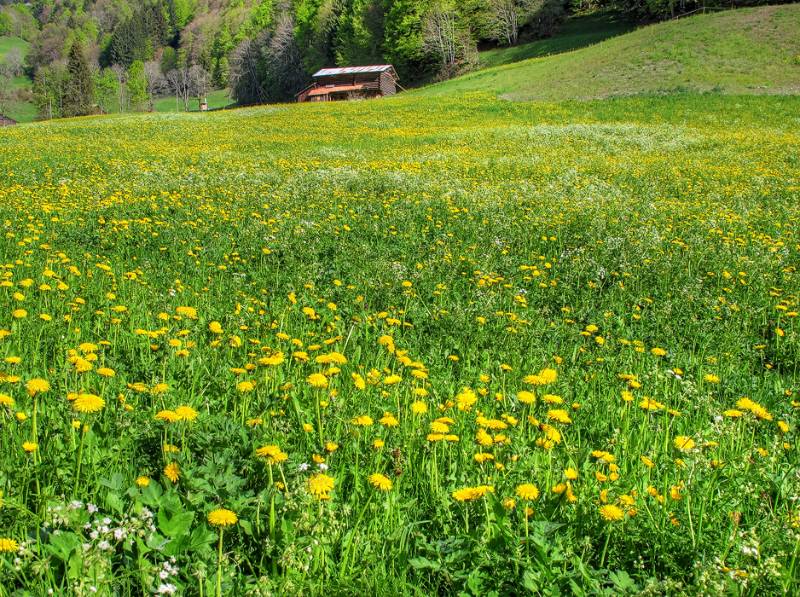 150510-Wanderung-Fadearastein_4943_4_5