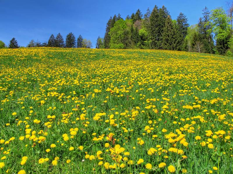 150510-Wanderung-Fadearastein_4958_59_60