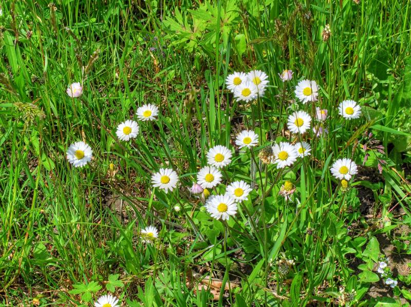 150510-Wanderung-Fadearastein_4979_80_81