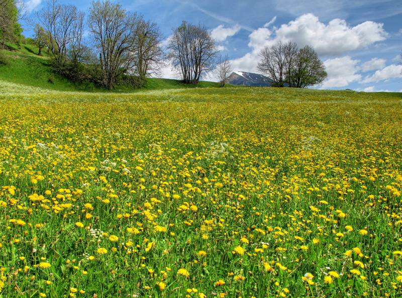 150510-Wanderung-Fadearastein_4985_6_7