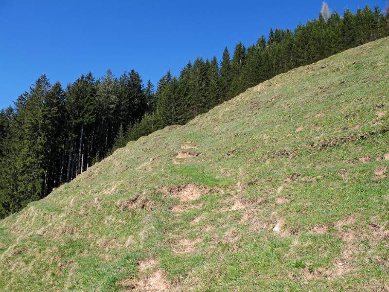 150424-Wanderung-Kronberg-Lehmen_4885