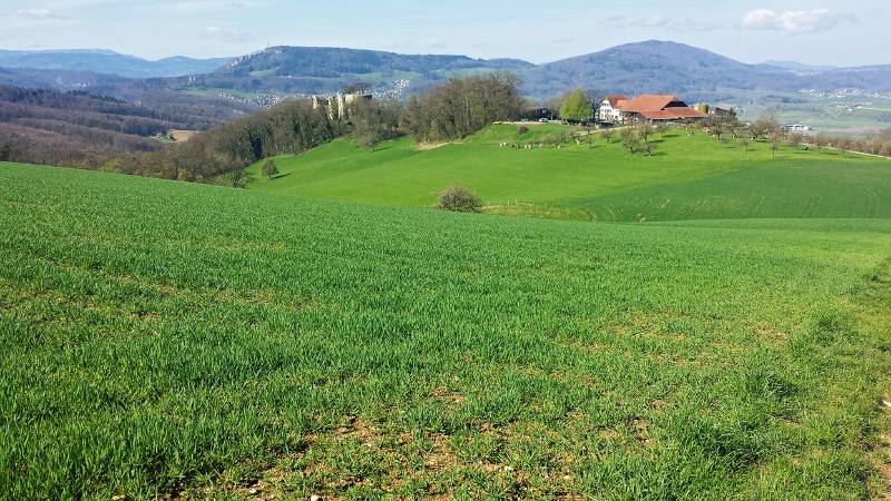 Schloss Dorneck und Schlosshof