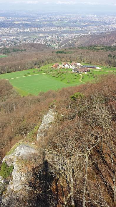 Blick vom Turm