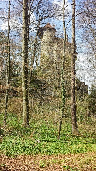 Der Turm von Burg Richenstein