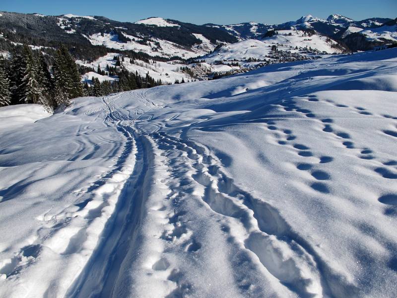 Blick zurück kurz nach dem Start