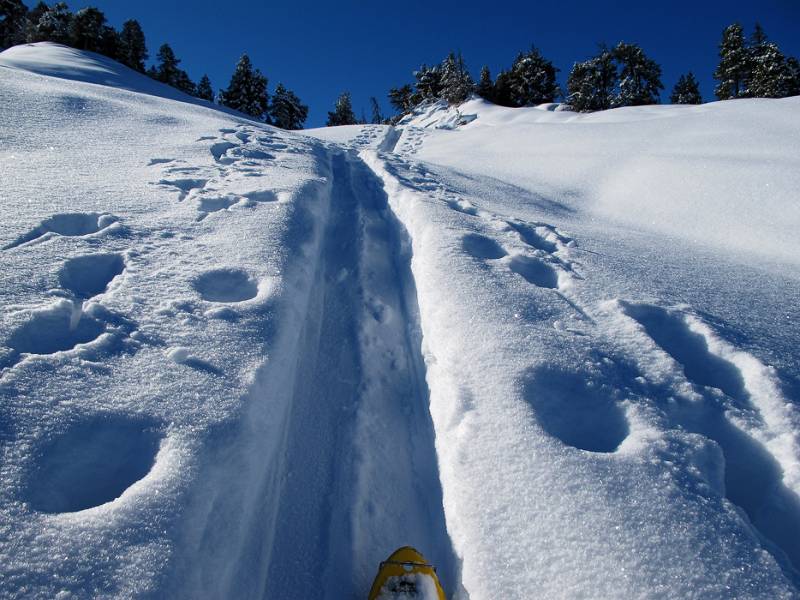 Schöner Pulverschnee und gute Spur