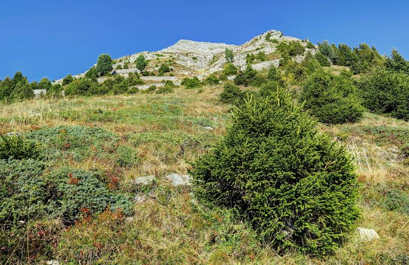 Die Süd-Flanke von Poncione di Nara