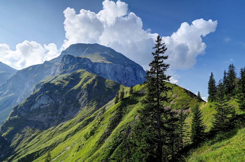 Fast die ganze Aufstiegsroute ist zu sehen. Es ist noch ziemlich