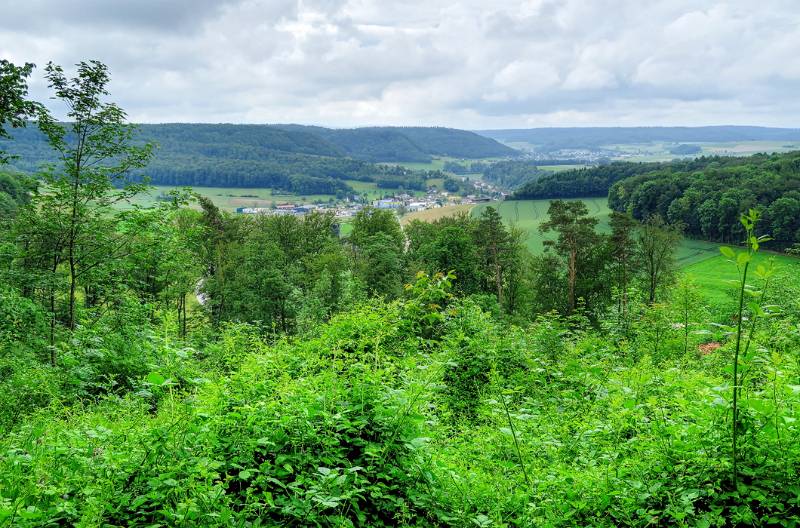 160605-Wanderung-Zurziberg_6562_3_4