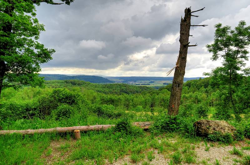 160605-Wanderung-Zurziberg_6604_5_6