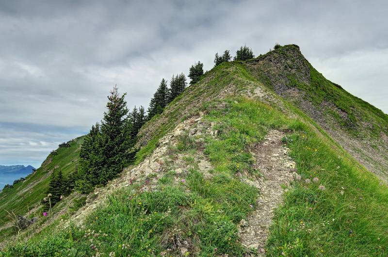 Image Wanderung Wilerhorn