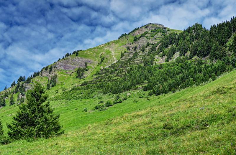 Wilerhorn von Südseite mit vielen Lawinenschutzverbauungen