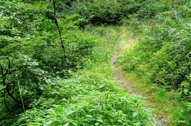 Wanderweg im Grünen beim Aufstieg aus Neuendrof