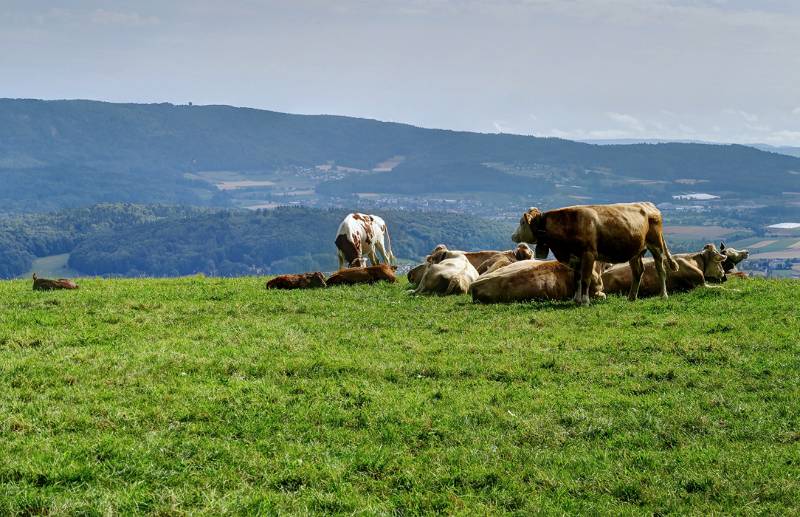 Pause mit Blick auf Lägern