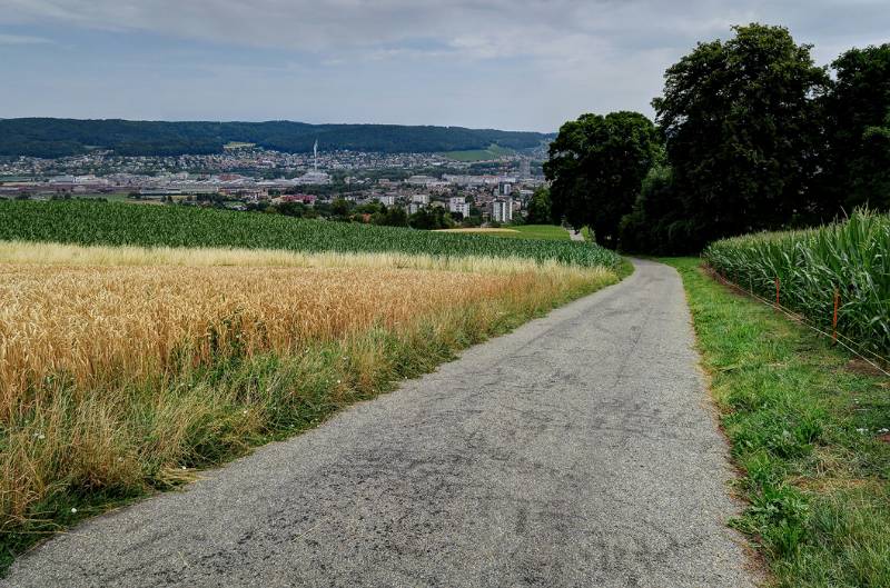 Richtung Bahnhof Dietikon