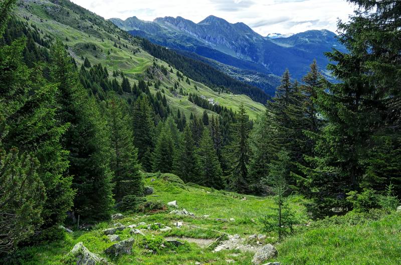 Blick zurück zum Sompréi - Startpunkt der Wanderung