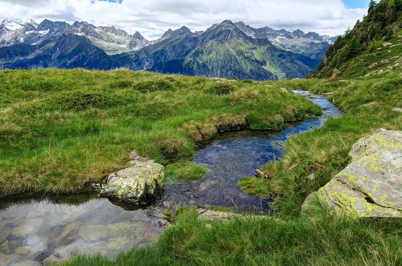 Schöner Bach bringt am Ende sein Wasser in den grossen Ticino