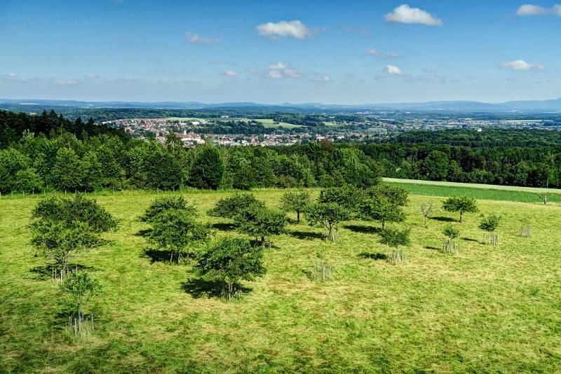 Blick auf Boncourt