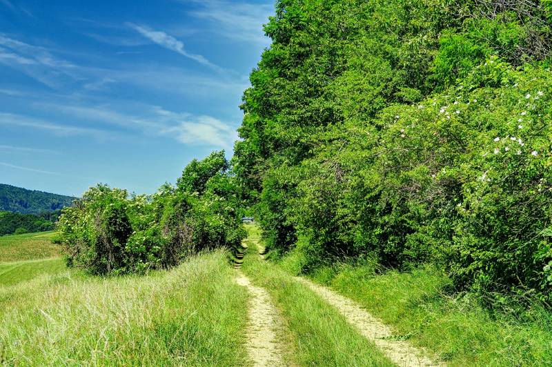 170611-Wanderung-Noerdlichster-Punkt-CH_7819_20_21