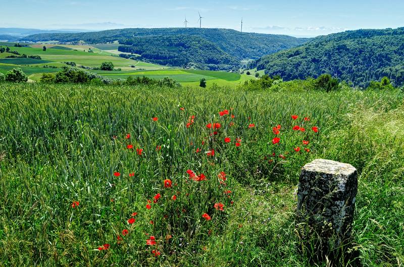 170611-Wanderung-Noerdlichster-Punkt-CH_7834_5_6_fused