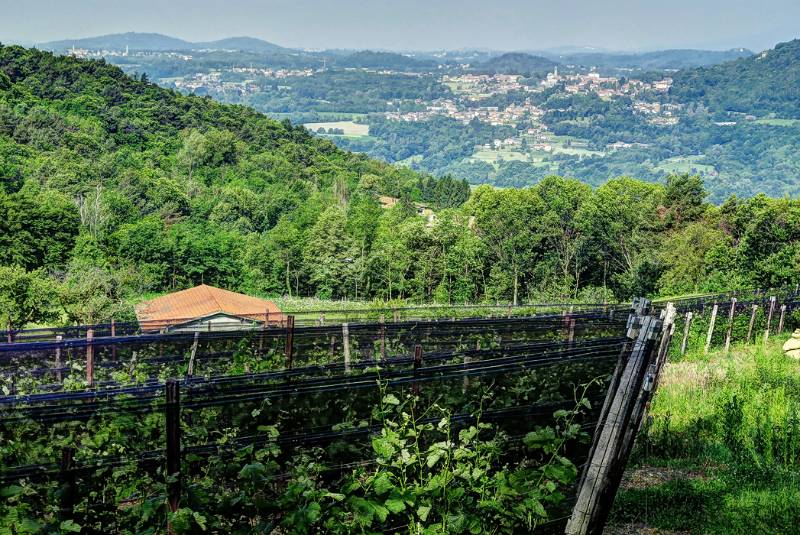 170525-Wanderung-Suedlichster-Punkt-Schweiz_7618_19_20