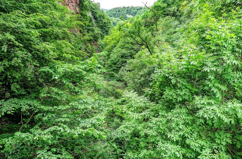 170524-Wanderung-Breggia-Schlucht_7657_8_9