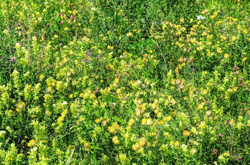 170524-Wanderung-Breggia-Schlucht_7717_8_9