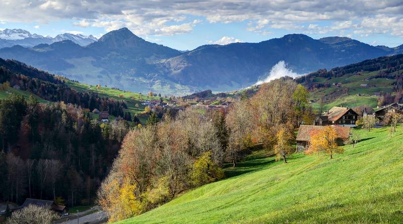 Sattel und Rigi Hochflue im Hintergrund