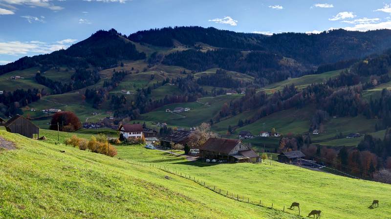 Blick im Aufstieg Richtung Biberegg