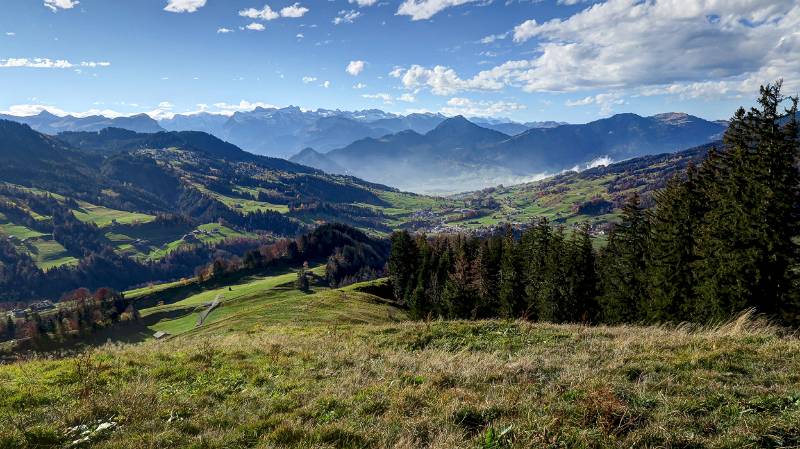 Sattel und Rigi Hochflue