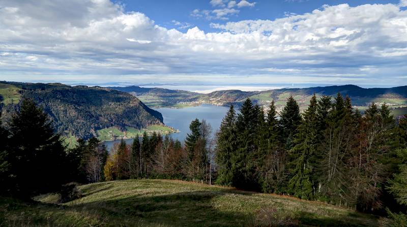 Ägerisee von Morgartenberg aus gesehen