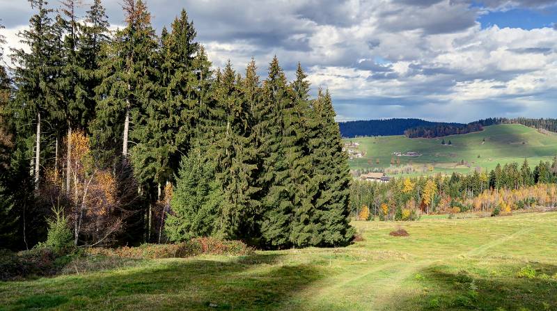 Schöne Landschaft auf dem Wanderweg Richtung Chli Morgarten