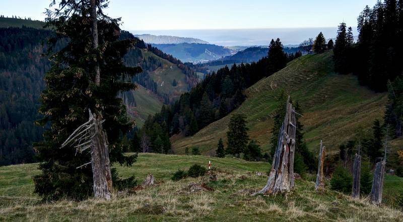 Die Spuren der Naturgewalt und das Schanzen von Einsiedeln im Hintergrund