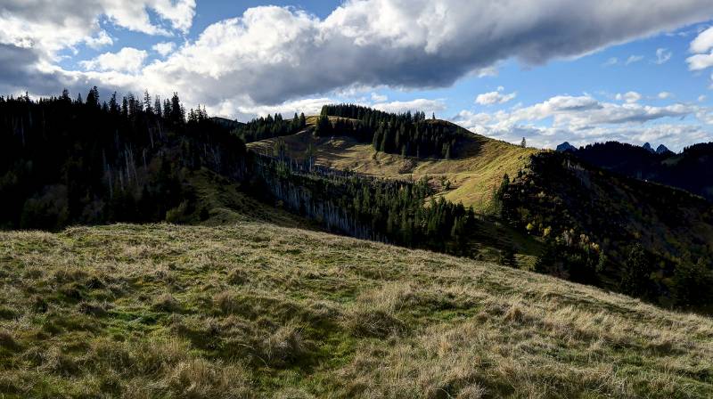 Es geht weiter Richtung Mösliwald und Bögliegg