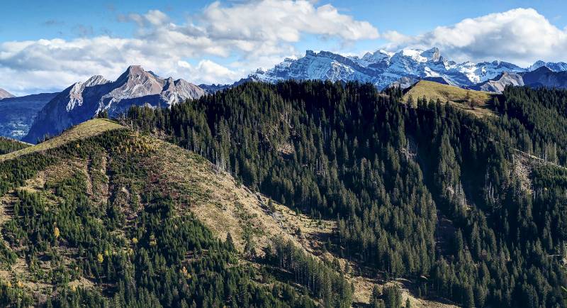 Panorama von Amselspitz