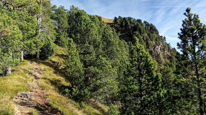 Schöner Aufstieg über den SW-Grat