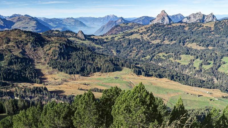 Einige bekannte Gipfel in Sicht: Haggenspitz, Kl. Mythen, Rigi Kulm, Gr.