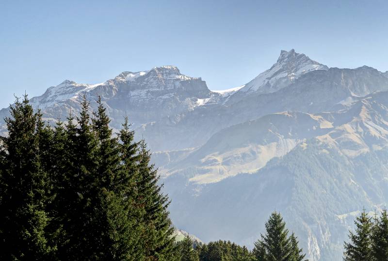 ... und noch ein Blick auf Clariden und Schärhorn