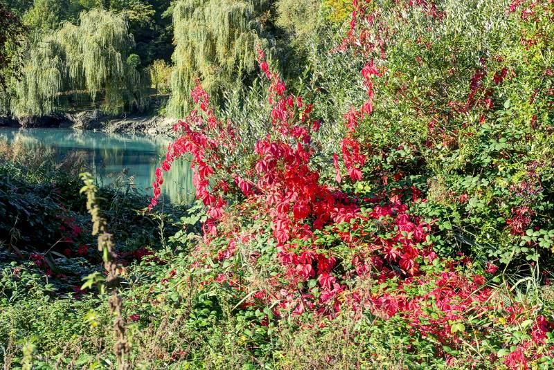 Schöne Herbstfarben