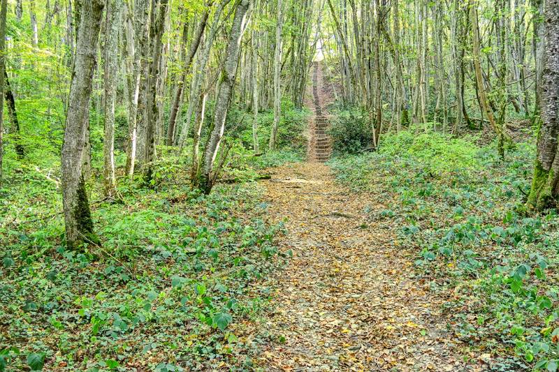 Schöner Weg im Wand mit vielen Treppen vorne