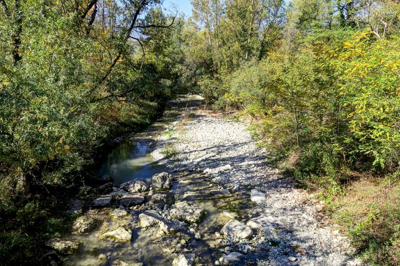 Ziemlich ursprüngliche Natur mit den Resten des Flusses